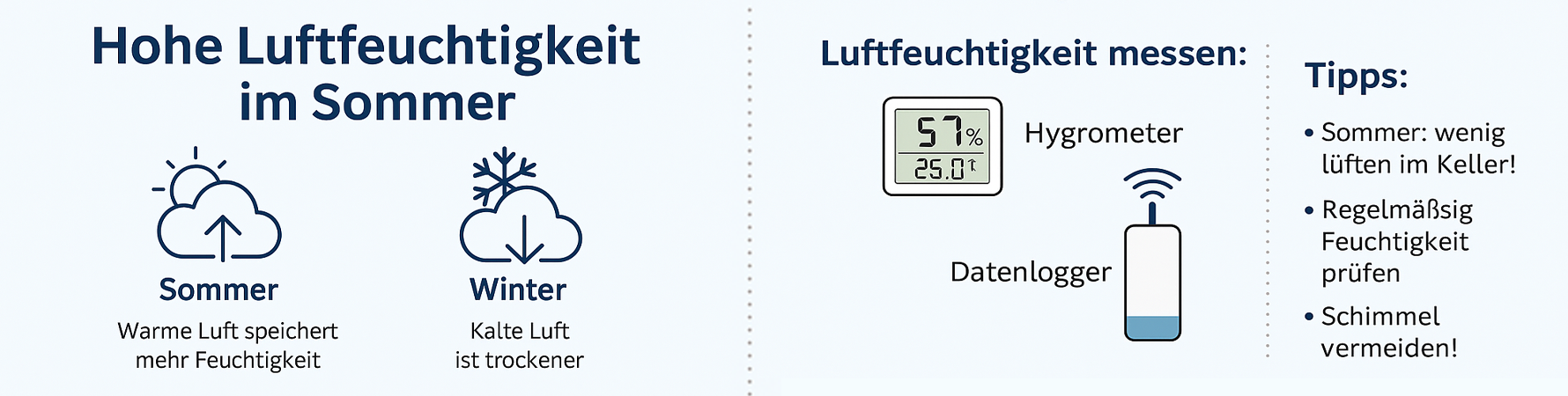 Hohe Luftfeuchtigkeit im Sommer? So beugen Sie Schimmel vor!