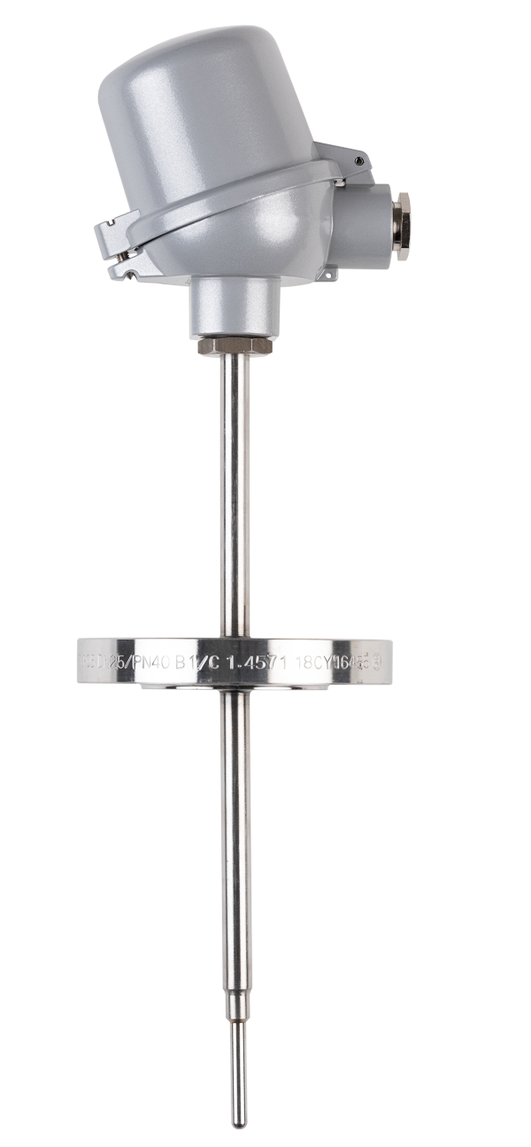 Flansch-Widerstandsthermometer